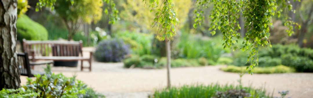 Tranquil Gardens Ventnor Botanic Garden